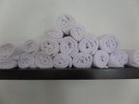 /album/%c2%bfquienes-somos/sam-1060-jpg/